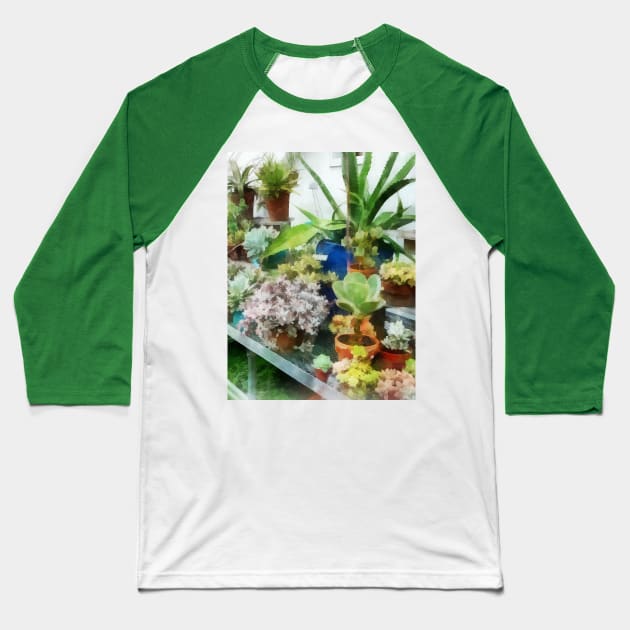 Greenhouse With Cactus Baseball T-Shirt by SusanSavad